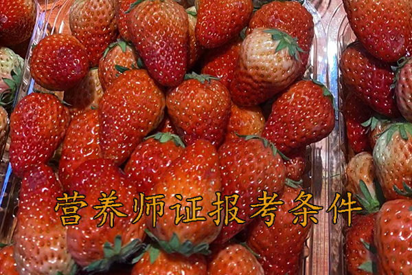 中山营养师证怎么考需要什么学历