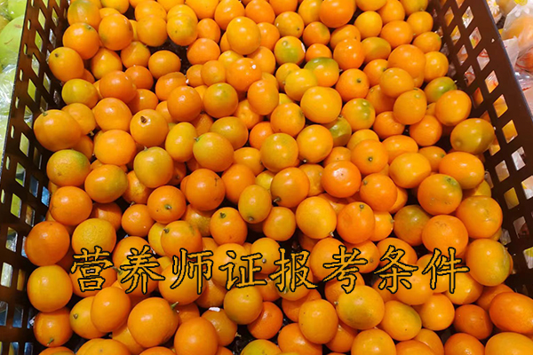 台州营养师证怎么考哪里报名