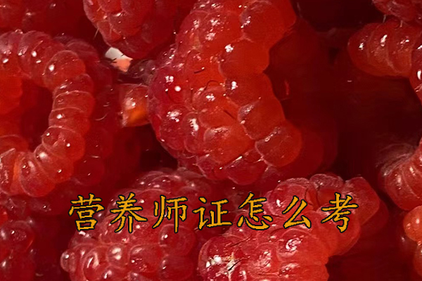 盐城营养师证怎么考多少钱