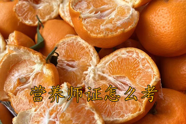 湖州营养师证怎么考需要什么条件