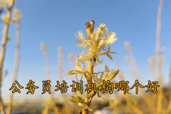 梅州公务员培训机构哪个好