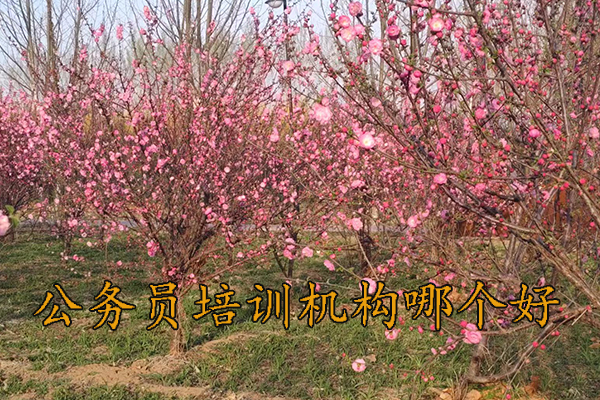 惠州公务员培训机构哪个好