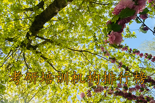 张家界考研培训机构排行榜