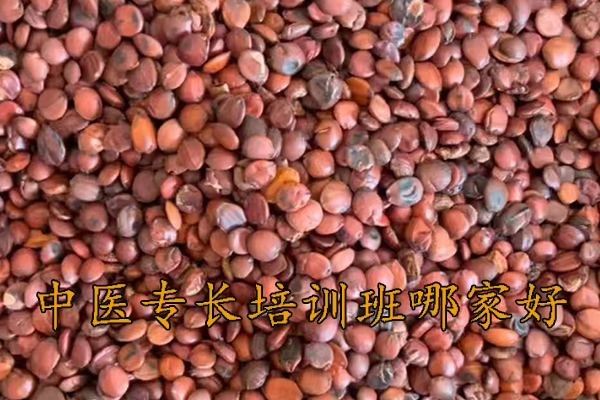 呼和浩特中医专长培训班哪家好