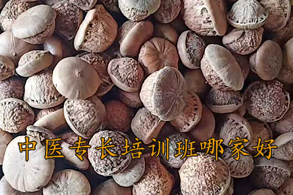 乌海中医专长培训机构有哪些