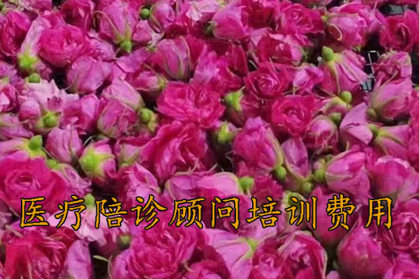 海口医疗陪诊顾问培训费用