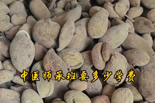 中医师承班要多少学费？