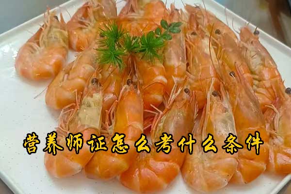 莆田营养师证怎么考哪里报名