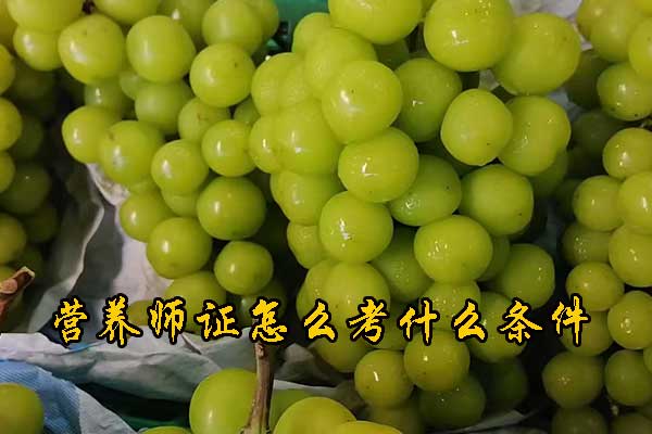 湛江营养师证怎么考需要什么条件