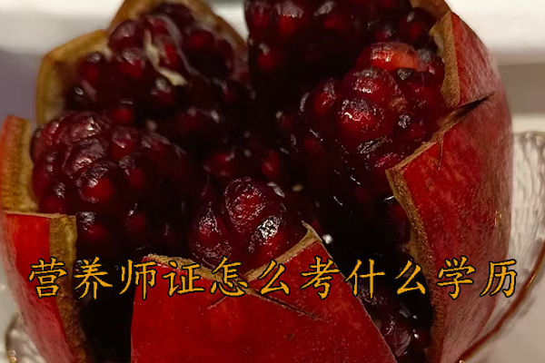 淄博营养师证怎么考需要什么条件