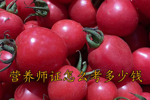 咸阳营养师证怎么考需要什么学历