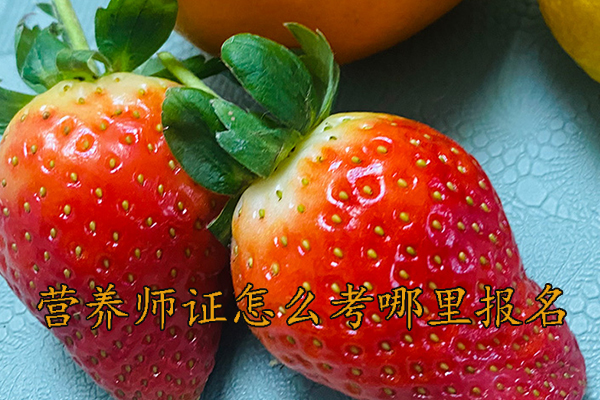 丽水营养师证怎么考多少钱