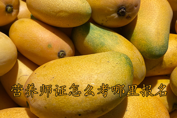 南阳营养师证怎么考需要什么学历