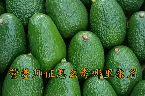 襄阳营养师证怎么考哪里报名