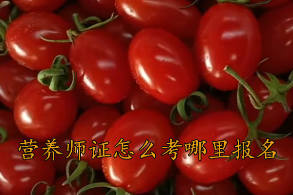 株洲营养师证怎么考需要什么条件