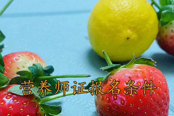 大庆营养师证怎么考需要什么条件