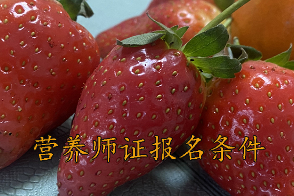 沧州营养师证怎么考多少钱