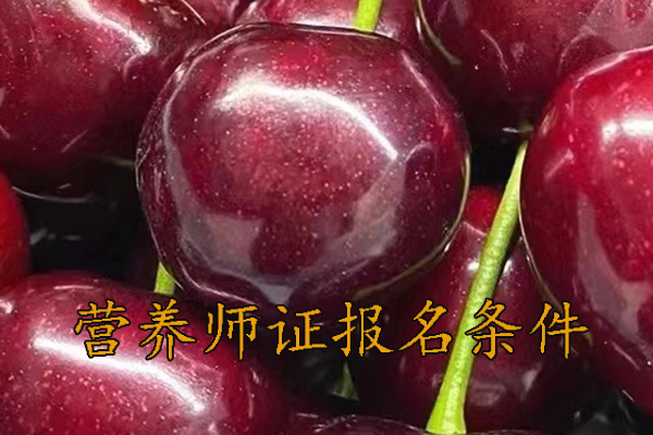 岳阳营养师证怎么考哪里报名