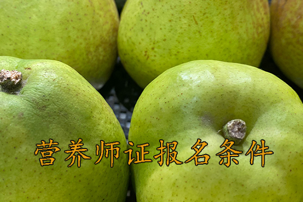 肇庆营养师证怎么考多少钱