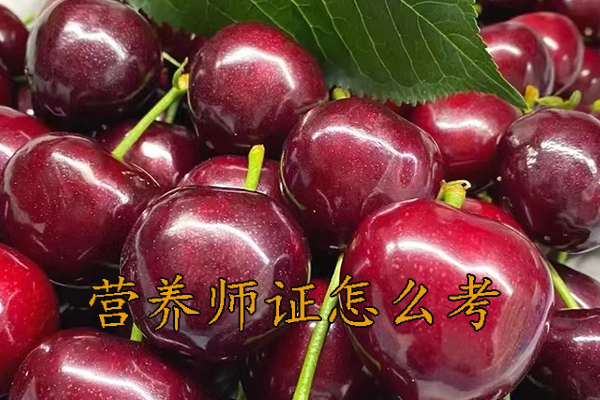 鞍山营养师证怎么考需要什么条件