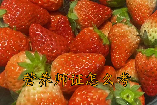 湘潭营养师证怎么考多少钱