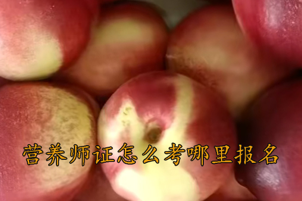 三明营养师证怎么考哪里报名