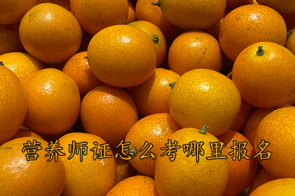 梅州营养师证怎么考多少钱