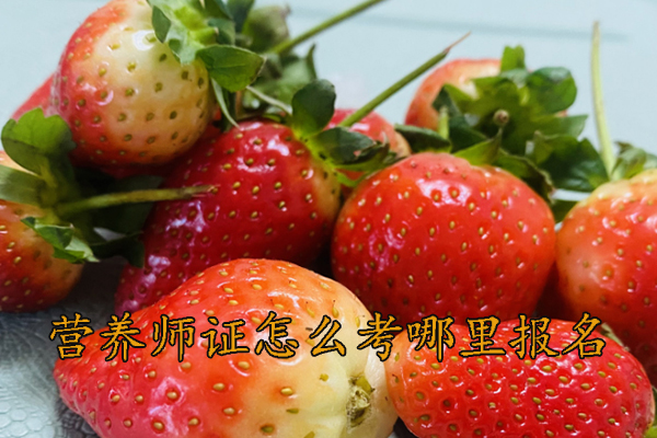 南平营养师证怎么考哪里报名