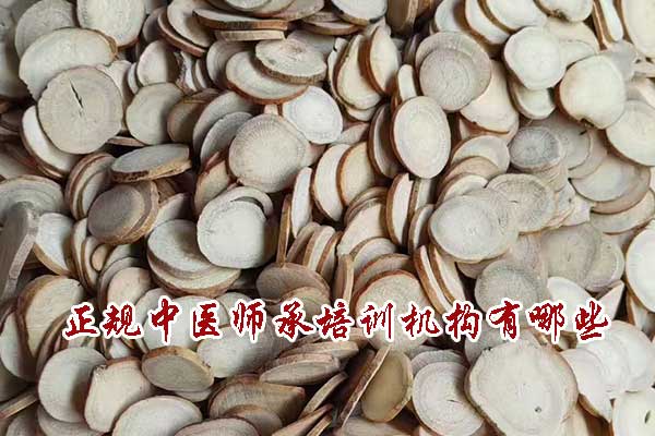 正规中医师承培训机构有哪些