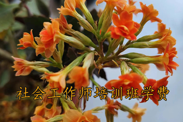 漳州社会工作师培训班学费多少