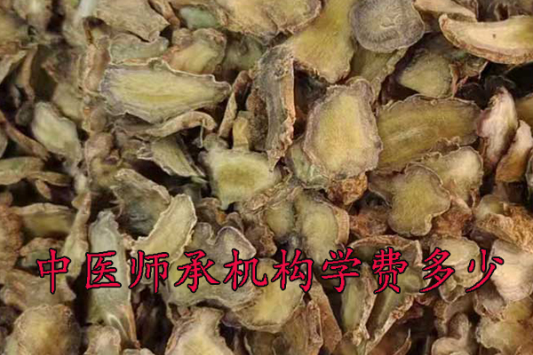 张家口中医师承学费多少钱