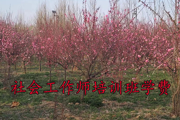 芜湖社会工作师培训班学费多少