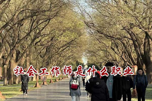 社会工作师是什么职业
