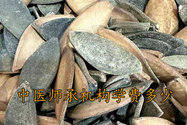 忻州中医师承学费一年多少钱