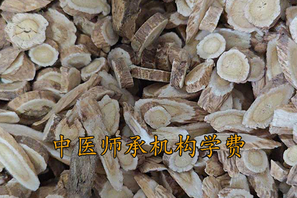 青岛中医师承机构学费多少