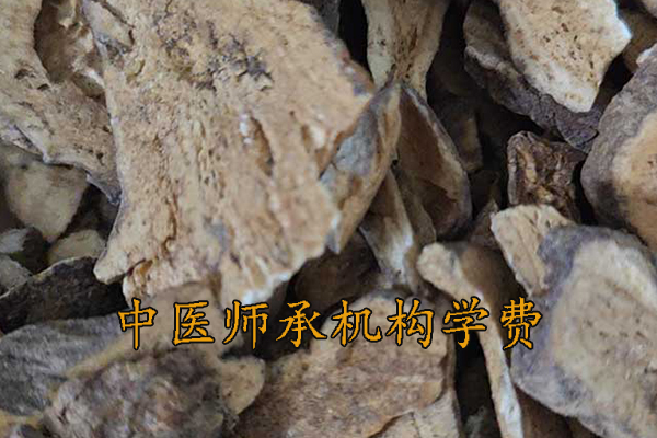 烟台中医师承学费多少钱