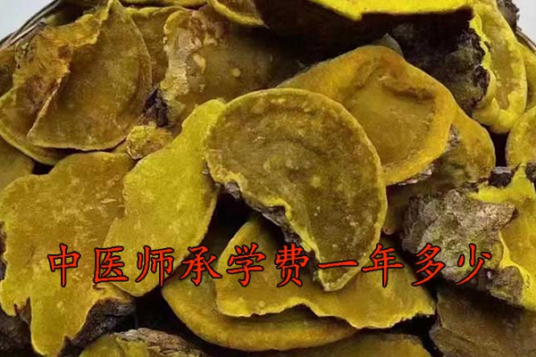 威海中医师承学费多少钱