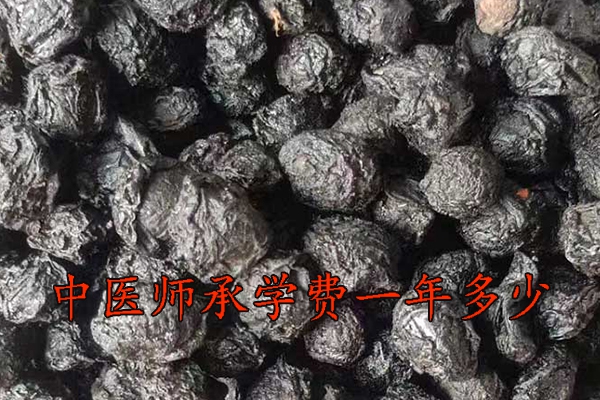 聊城中医师承学费一年多少钱