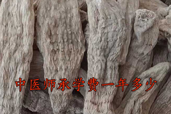 滨州中医师承机构学费多少