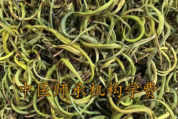 温州中医师承机构学费多少