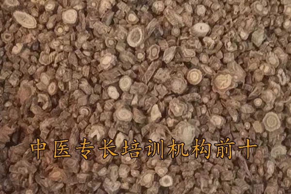 新乡中医专长培训哪家好