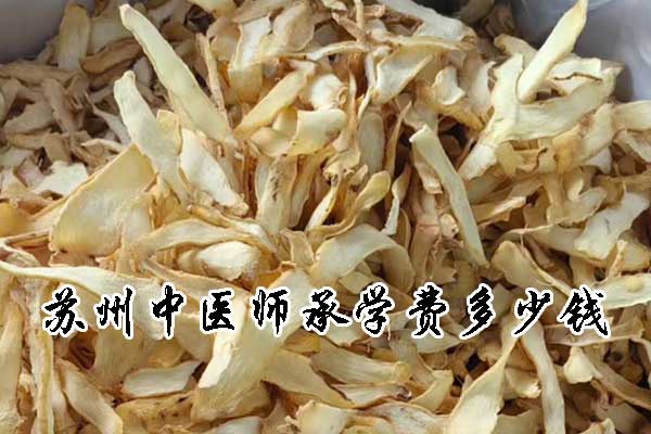 苏州中医师承学费多少钱