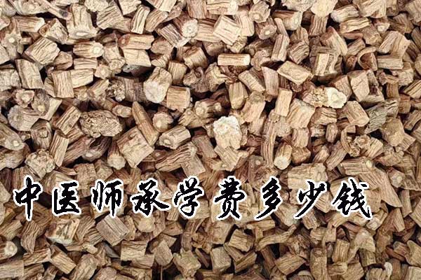 绍兴中医师承学费多少钱？哪家机构正规？