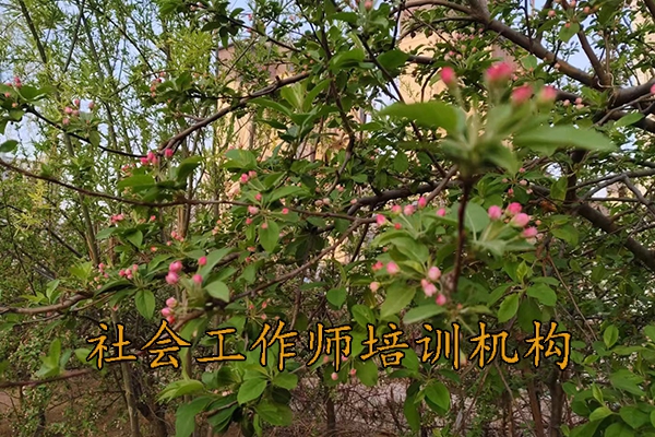 马鞍山社会工作师培训班学费多少