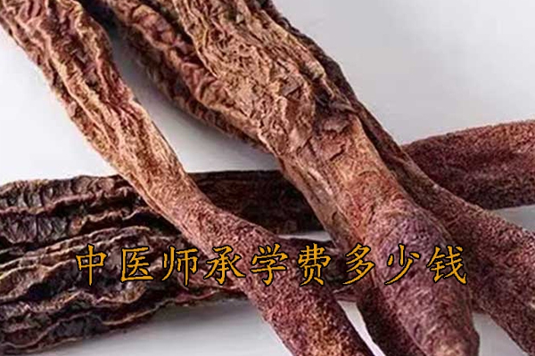 南京中医师承学费一年多少钱