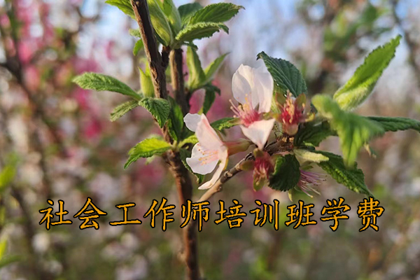 郴州社会工作师培训班报名条件