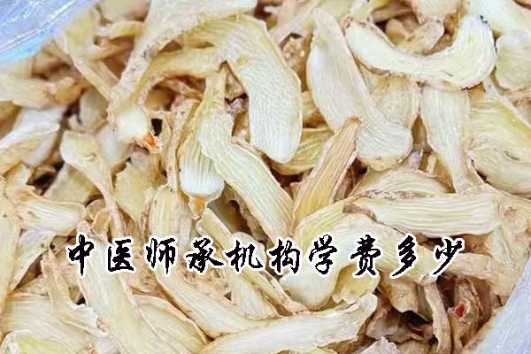 芜湖中医师承学费一年多少钱
