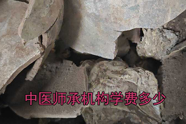 吉安中医师承机构学费多少