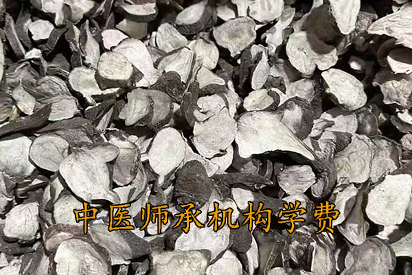 安阳中医师承学费一年多少钱