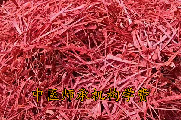 商丘中医师承机构学费多少